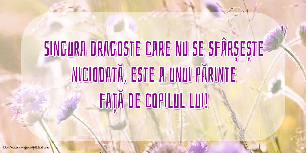 Familie Singura dragoste