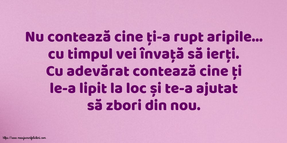 Familie Nu contează cine ți-a rupt aripile...