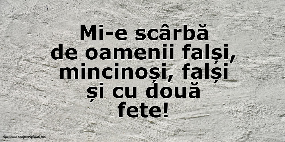 Familie Mi-e scârbă de oamenii falși,
