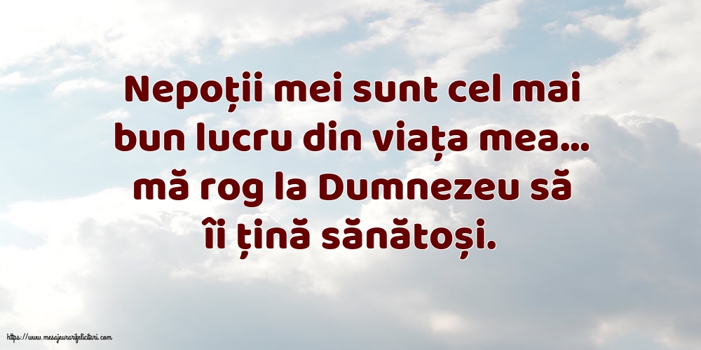 Familie Nepoții mei sunt cel mai bun lucru din viața mea…