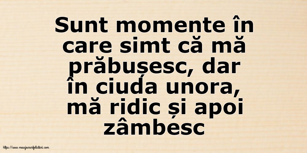 Familie Sunt momente în care simt că mă prăbușesc