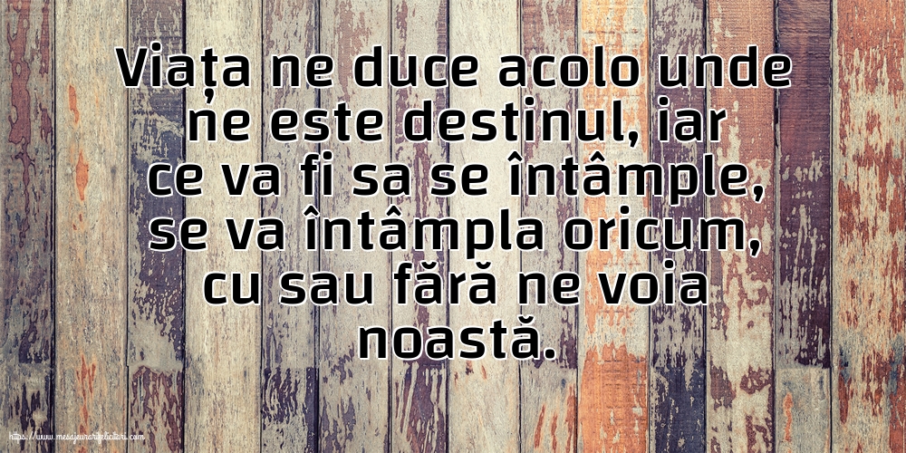 Familie Viata ne duce acolo unde ne este destinul