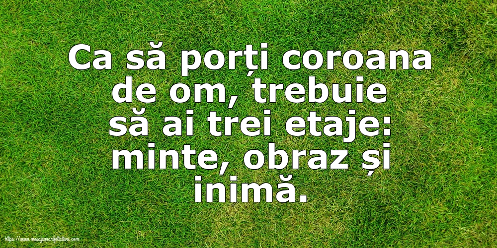 Familie Ca să porți coroana de om, trebuie să ai trei etaje: minte, obraz și inimă.