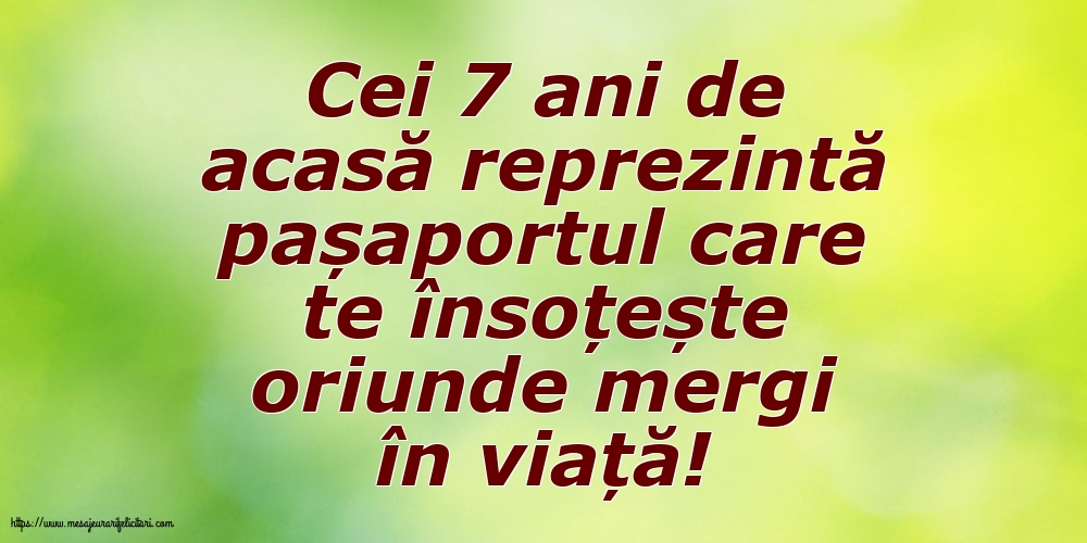 Familie Cei 7 ani de acasă reprezintă pașaportul
