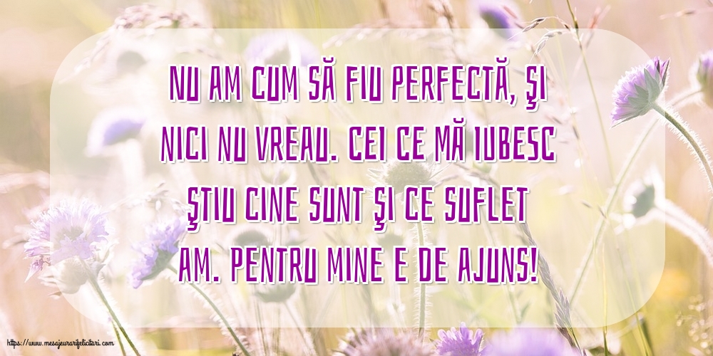 Familie Nu am cum să fiu perfectă