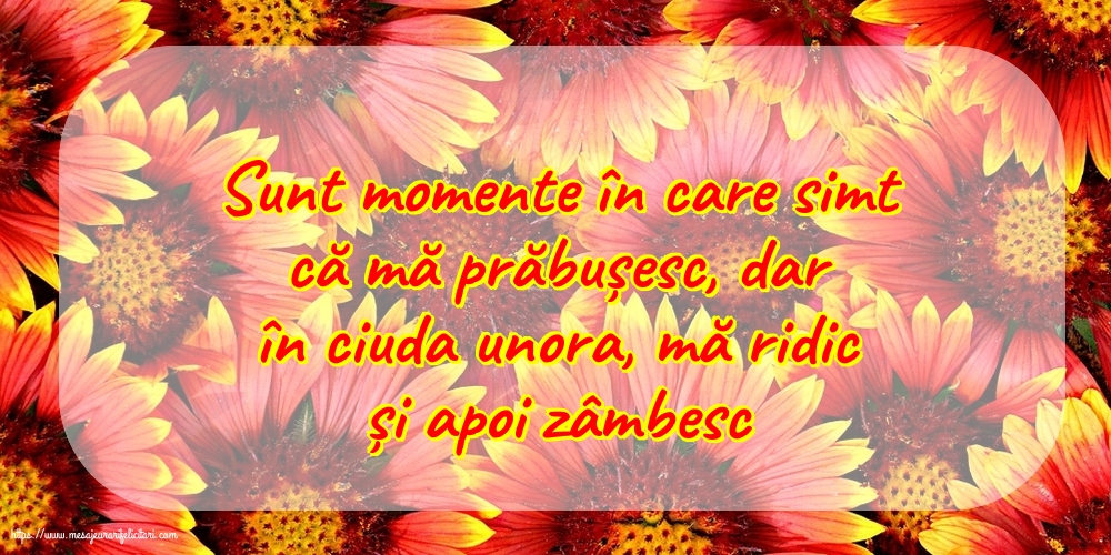 Familie Sunt momente în care simt că mă prăbușesc