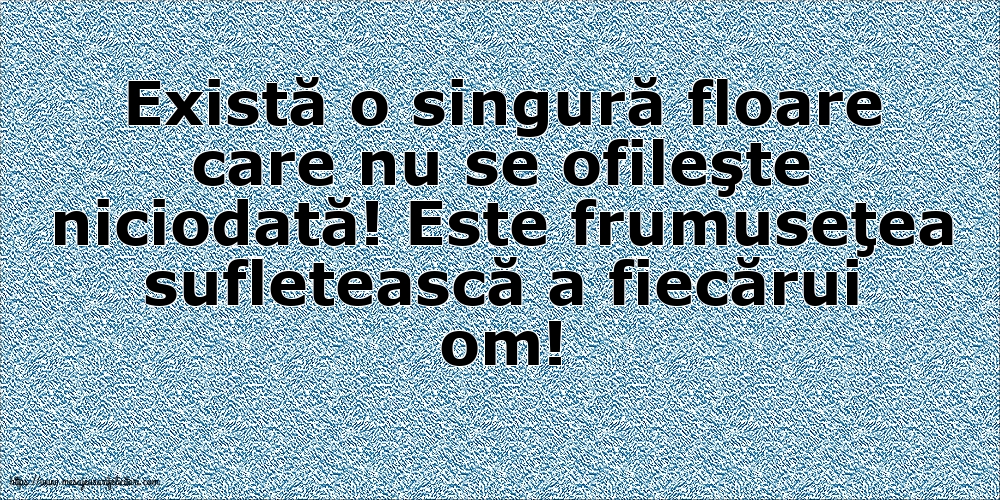 Există o singură floare care nu se ofileşte niciodată
