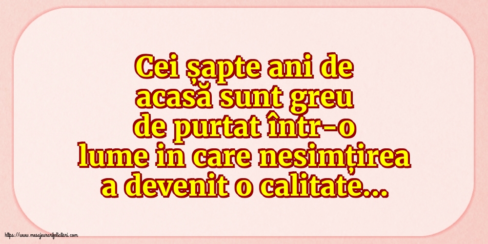 Familie Cei șapte ani de acasă