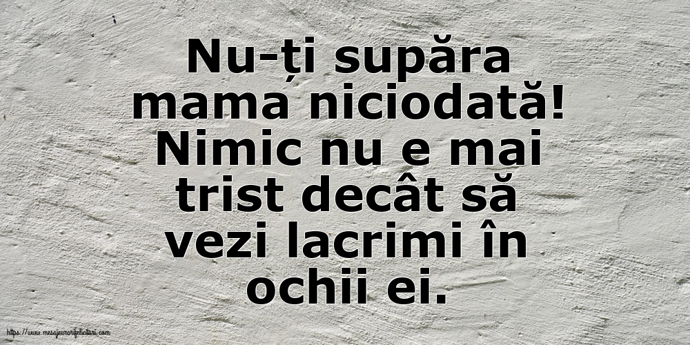 Familie Nu-ți supăra mama niciodată!