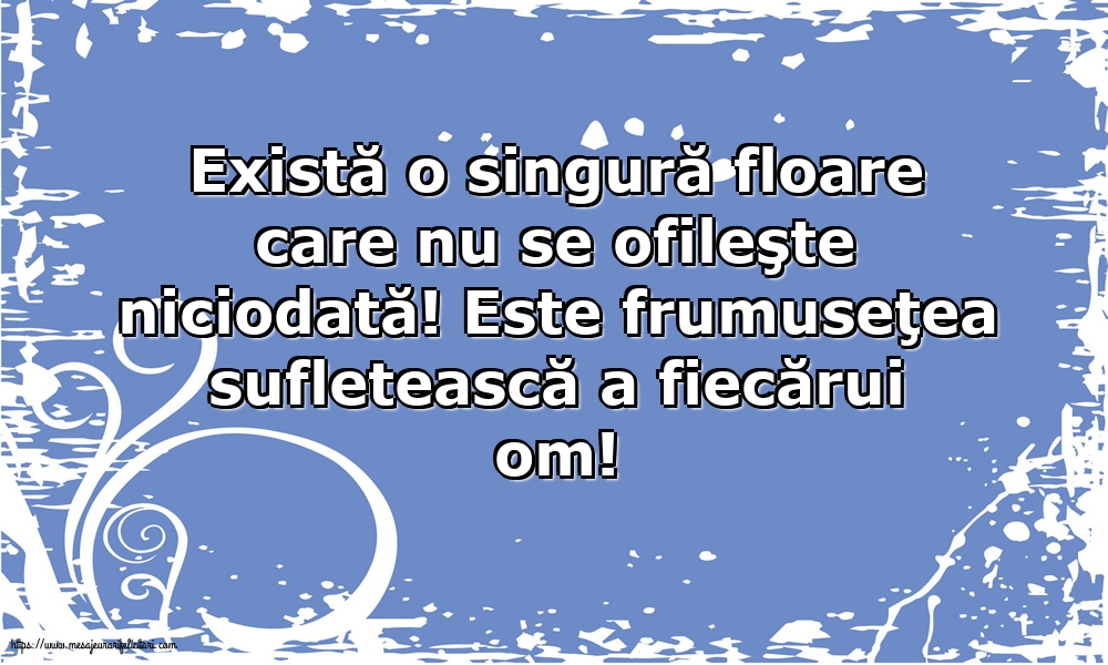 Familie Există o singură floare care nu se ofileşte niciodată