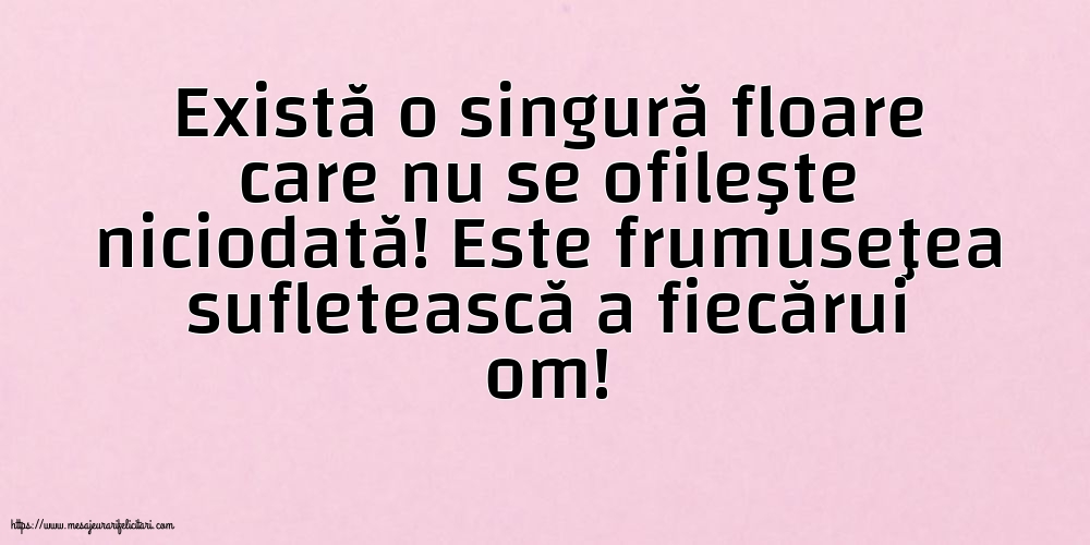 Familie Există o singură floare care nu se ofileşte niciodată