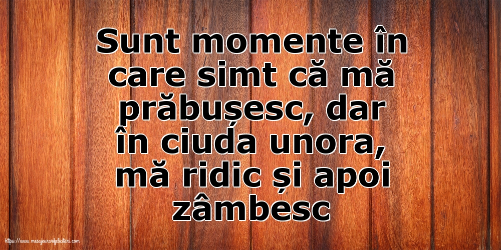 Familie Sunt momente în care simt că mă prăbușesc