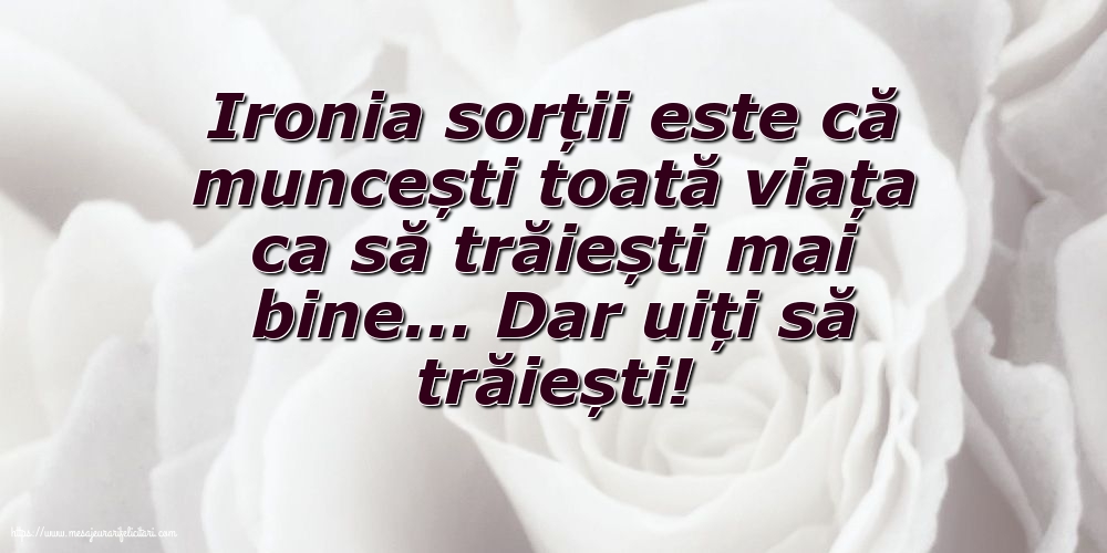 Familie Ironia sorții