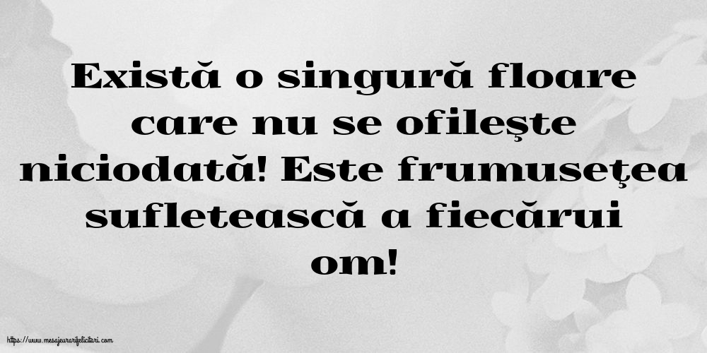 Familie Există o singură floare care nu se ofileşte niciodată