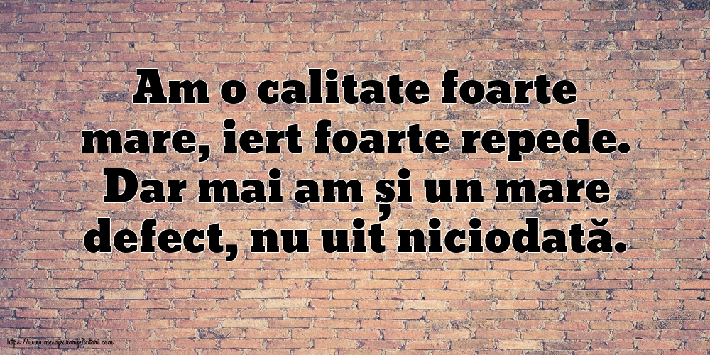 Familie Am o calitate foarte mare... Dar mai am și un mare defect