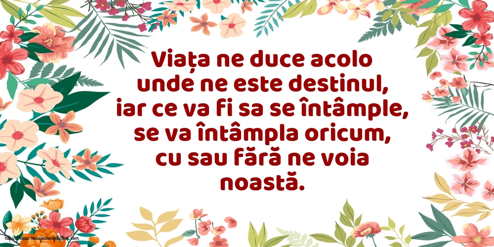 Familie Viata ne duce acolo unde ne este destinul