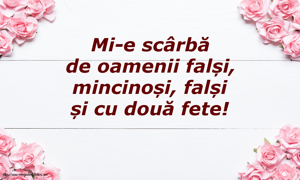 Familie Mi-e scârbă de oamenii falși,