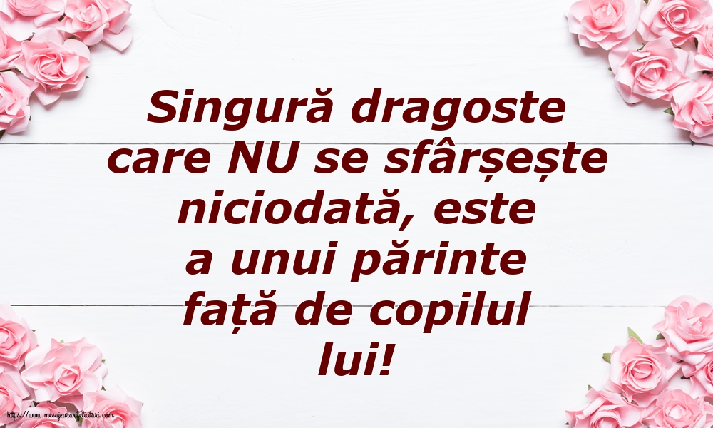 Familie Singură dragoste care NU se sfârșește niciodată