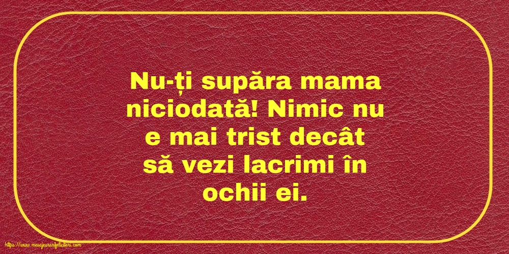 Familie Nu-ți supăra mama niciodată!