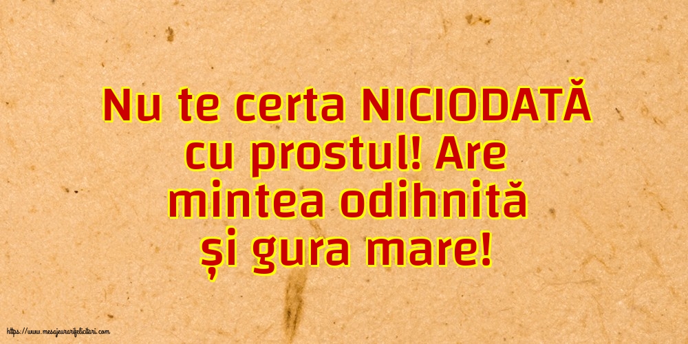 Familie Nu te certa NICIODATĂ cu prostul!