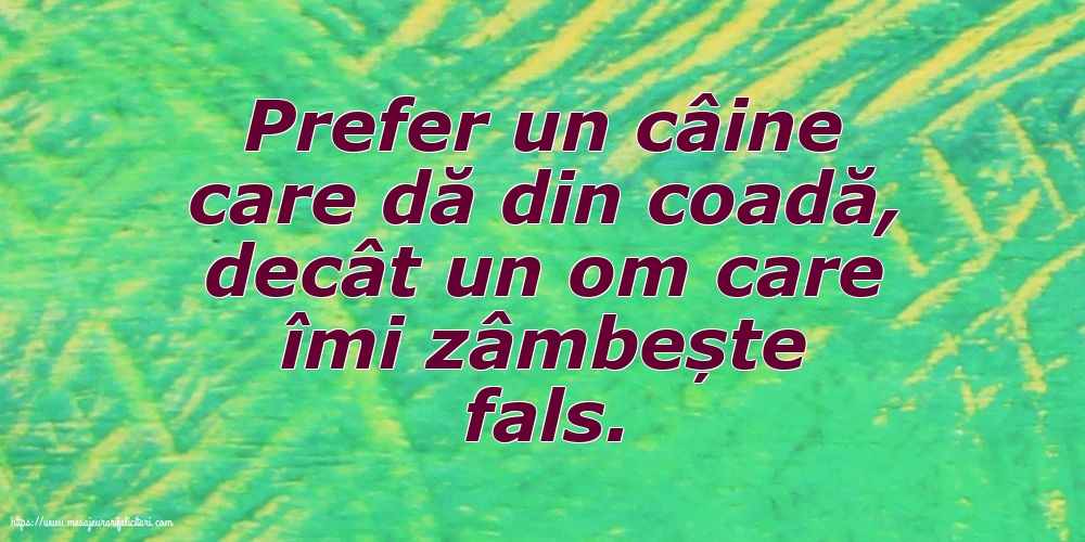 Prefer un câine care dă din coadă