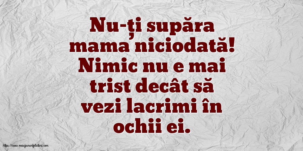 Familie Nu-ți supăra mama niciodată!