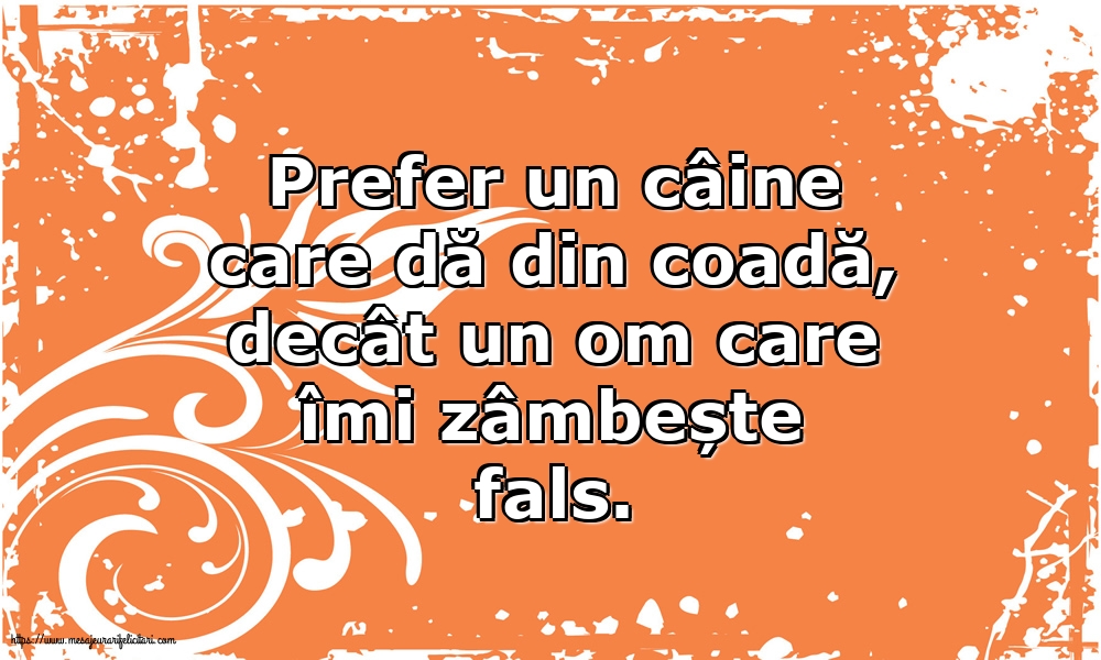 Prefer un câine care dă din coadă