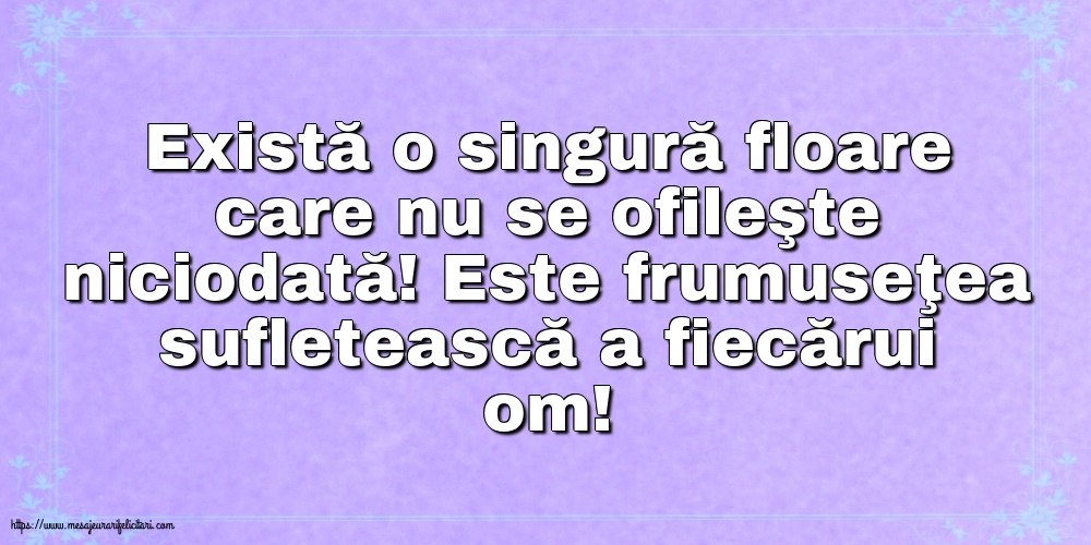 Familie Există o singură floare care nu se ofileşte niciodată!