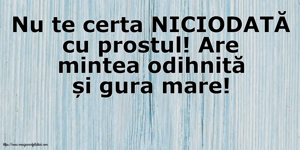 Nu te certa NICIODATĂ cu prostul!