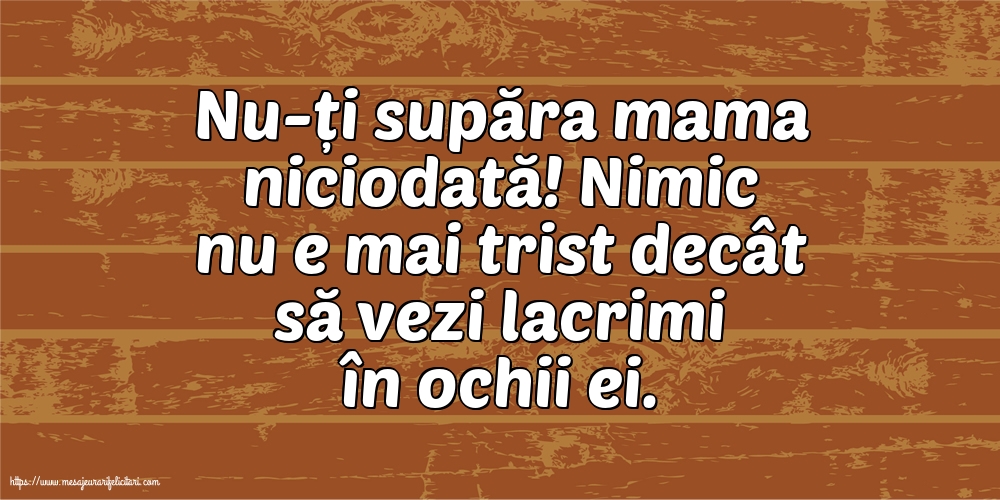 Familie Nu-ți supăra mama niciodată!