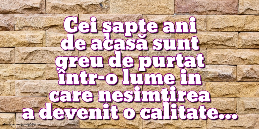 Familie Cei șapte ani de acasă
