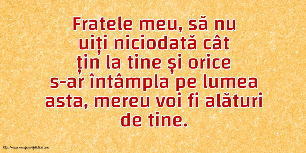Familie Fratele meu, să nu uiți niciodată...