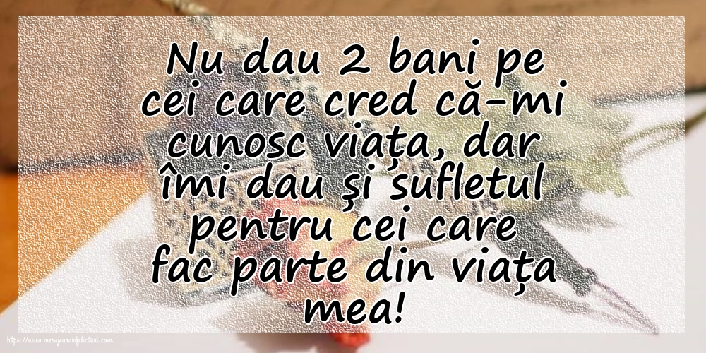 Familie Nu dau 2 bani