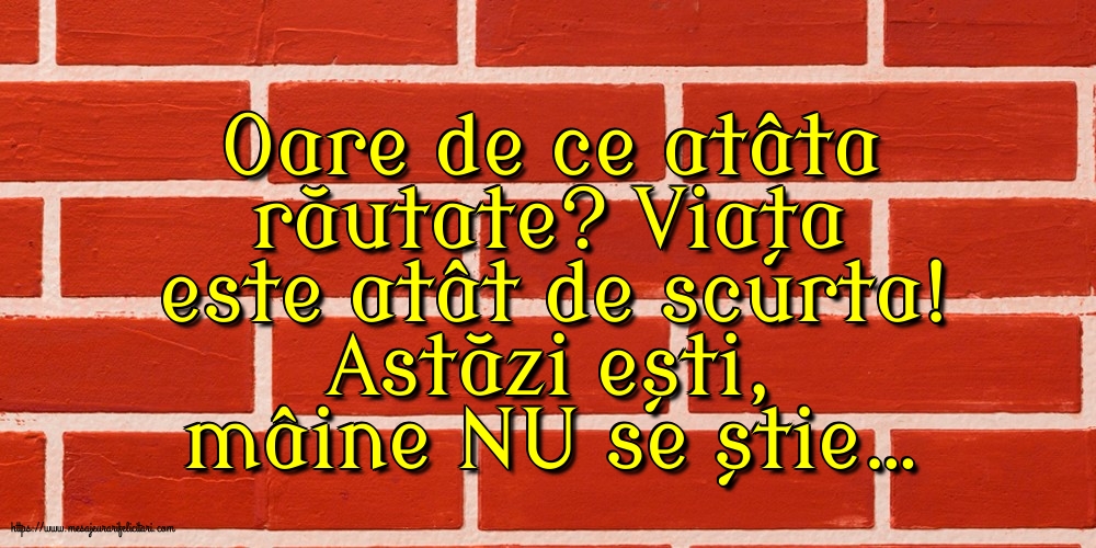Familie Oare de ce atâta răutate?