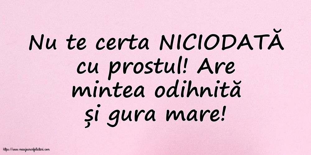 Familie Nu te certa NICIODATĂ cu prostul!