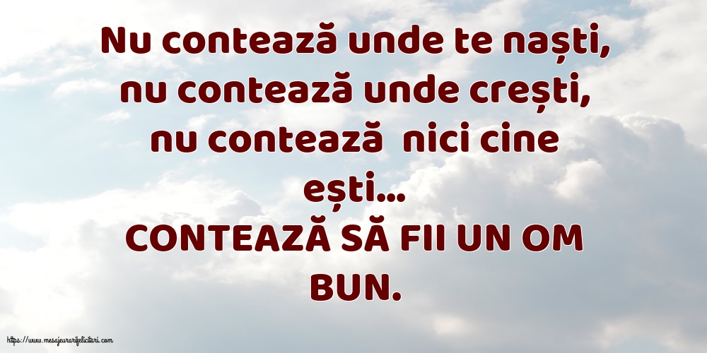 Familie CONTEAZĂ SĂ FII UN OM BUN.