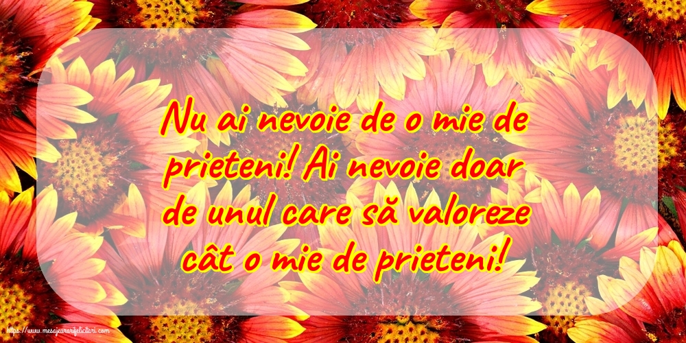 Familie Nu ai nevoie de o mie de prieteni!