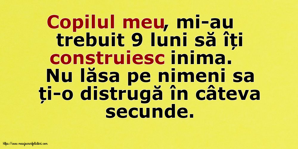 Familie Copilul meu, mi-au trebuit 9 luni să îți construiesc inima.