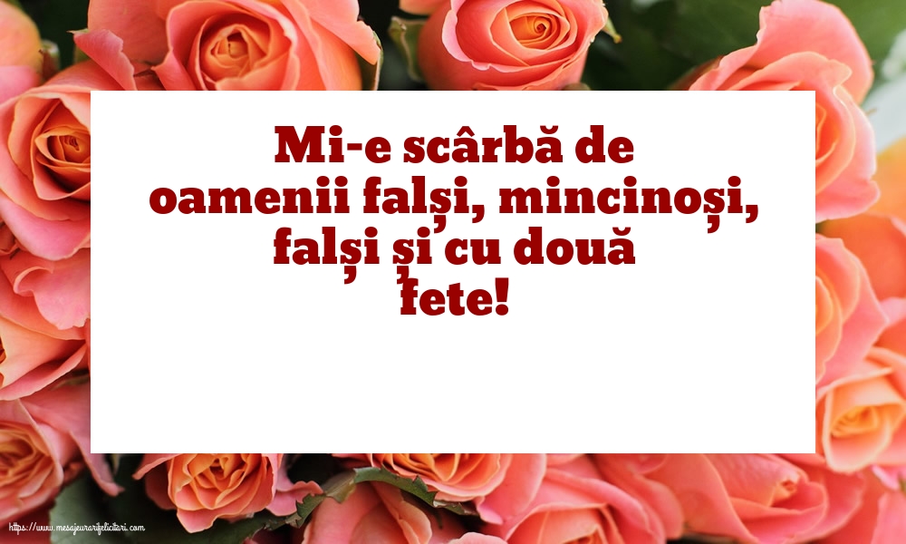 Familie Mi-e scârbă de oamenii falși,