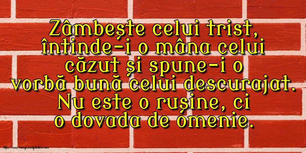 Zâmbește celui trist, întinde-i o mâna celui căzut... Nu este o rușine, ci o dovada de omenie.