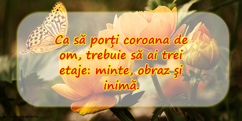 Imagini despre Familie - Ca să porți coroana de om, trebuie să ai trei etaje: minte, obraz și inimă. - mesajeurarifelicitari.com