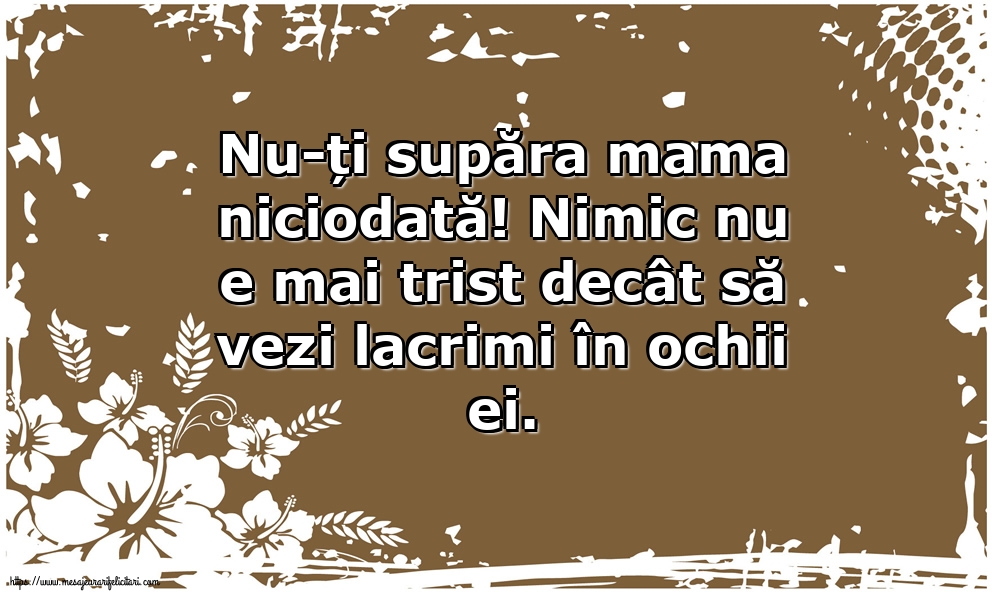 Familie Nu-ți supăra mama niciodată!