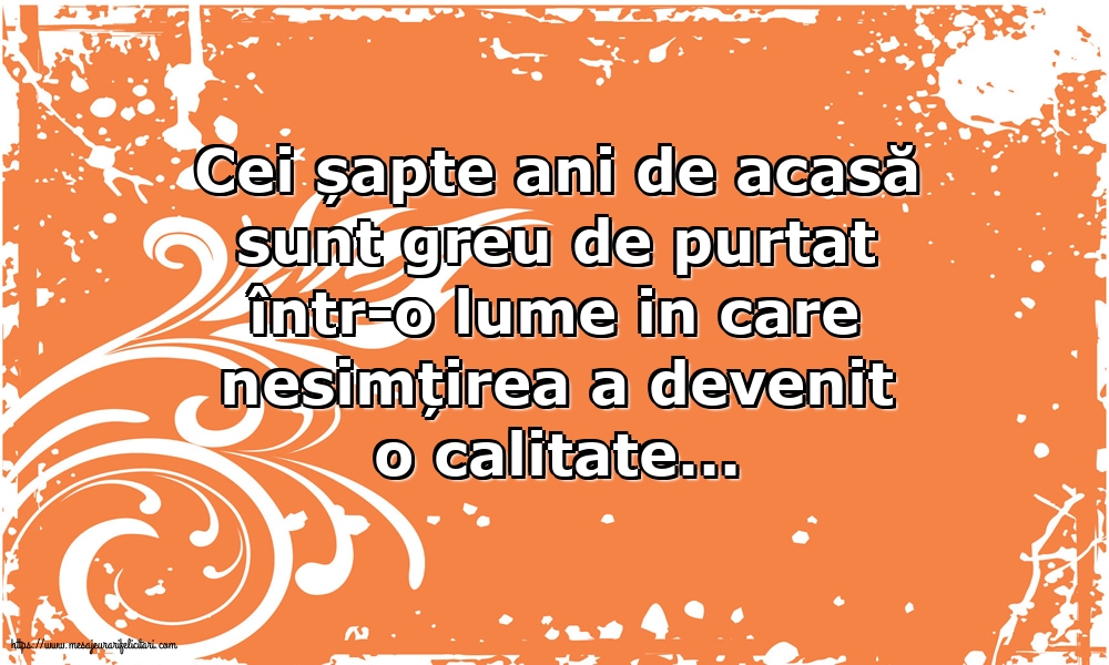 Familie Cei șapte ani de acasă