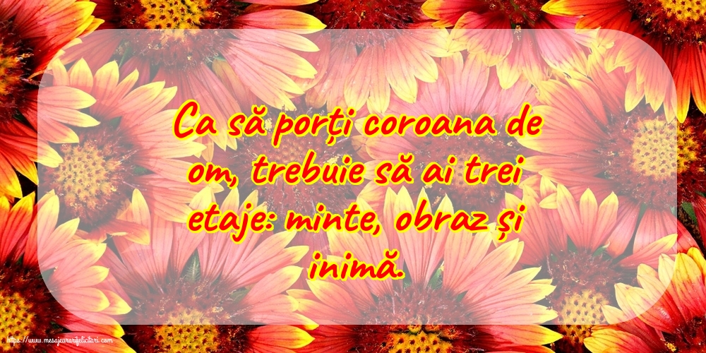 Familie Ca să porți coroana de om, trebuie să ai trei etaje: minte, obraz și inimă.