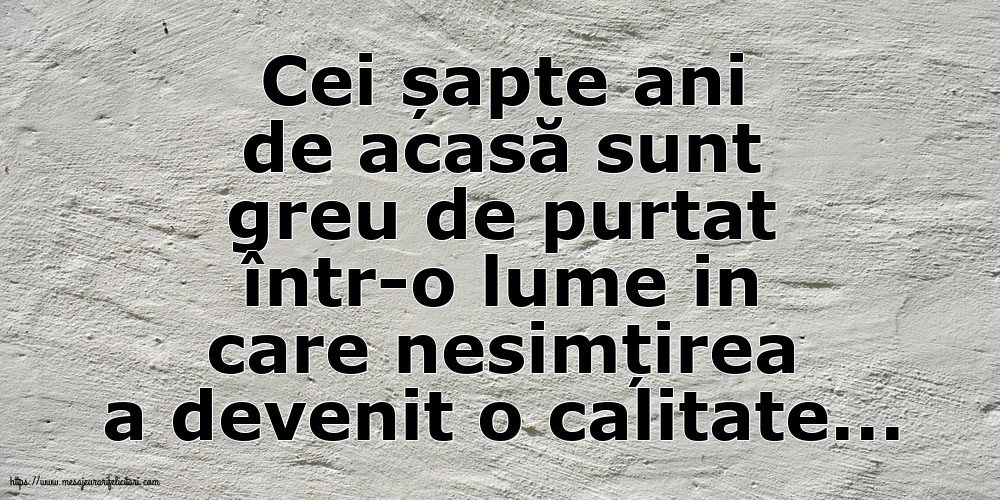 Familie Cei șapte ani de acasă