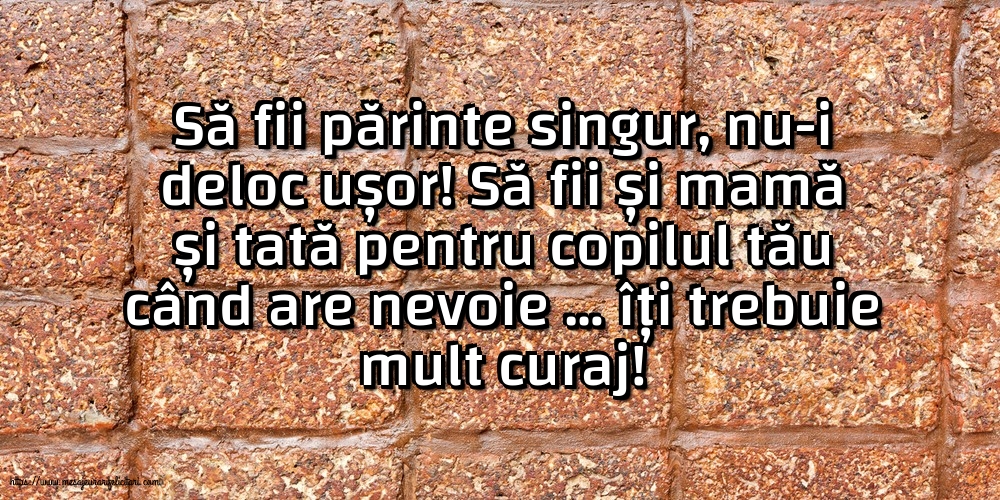 Familie Să fii părinte singur, nu-i deloc ușor!
