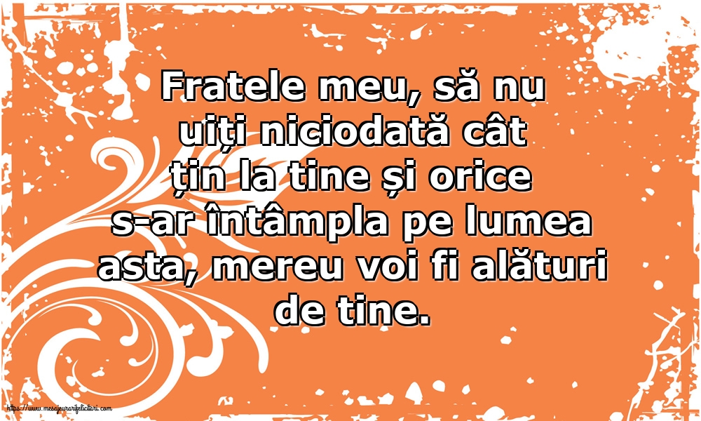 Familie Fratele meu, să nu uiți niciodată cât țin la tine!