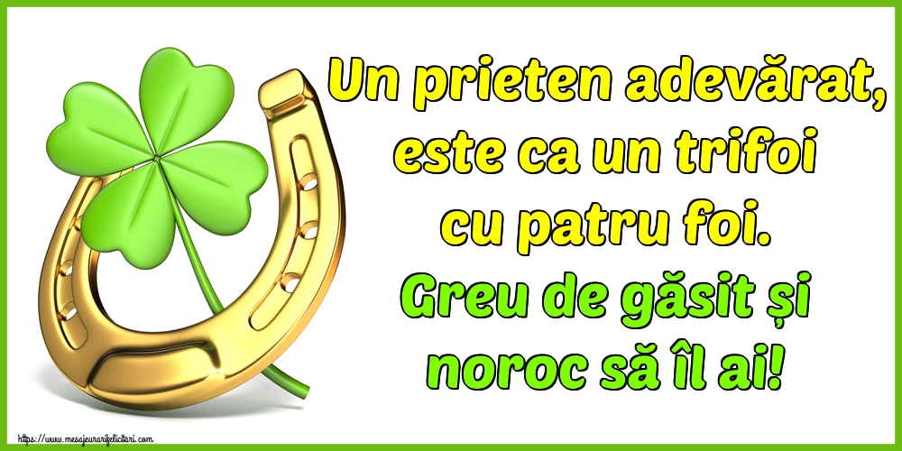 Un prieten adevărat, este ca un trifoi cu patru foi. Greu de găsit și noroc să îl ai!