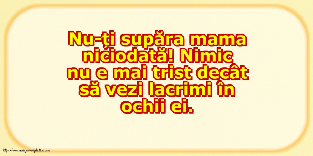 Familie Nu-ți supăra mama niciodată!