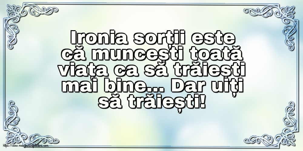 Familie Ironia sorții